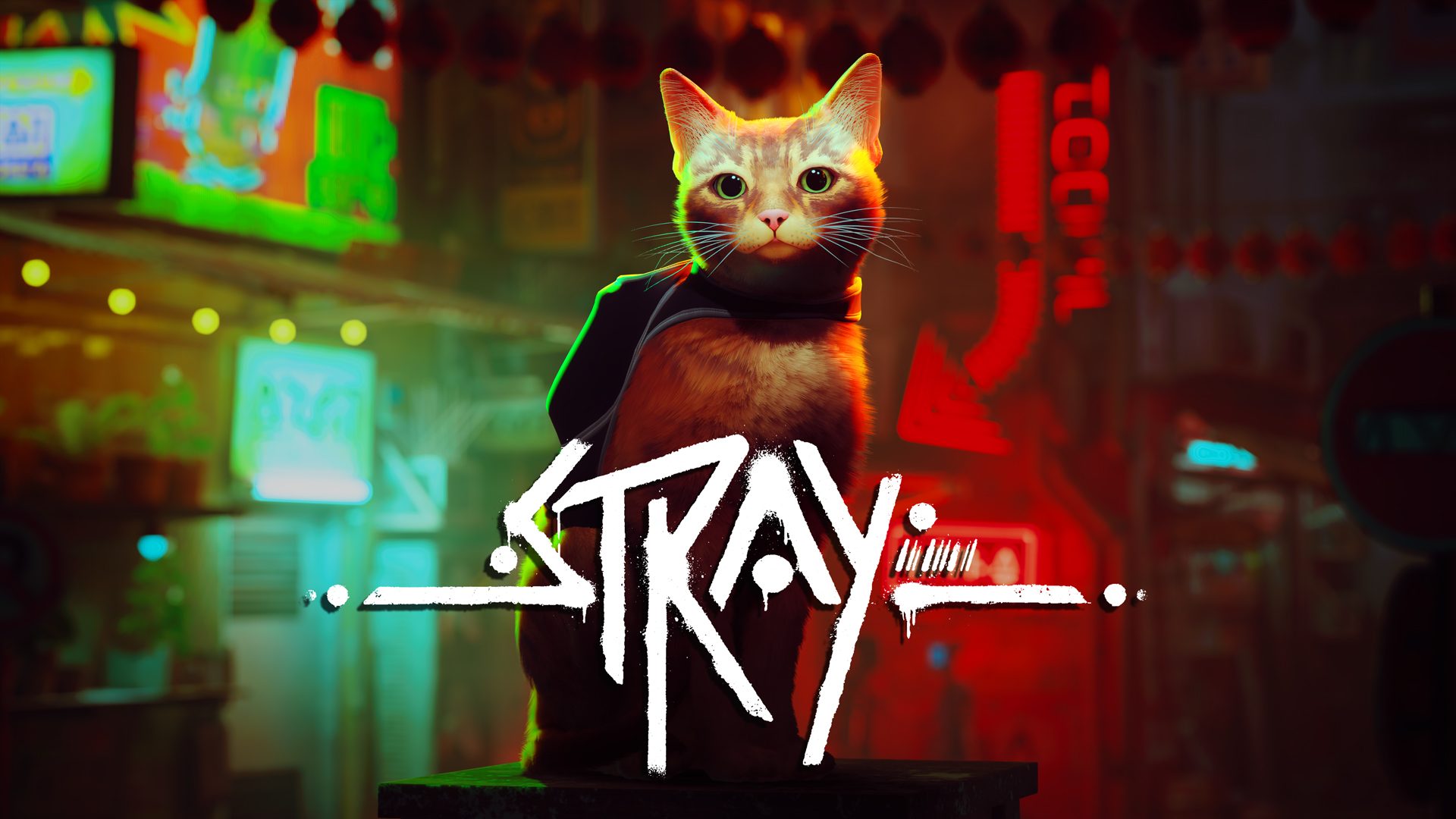 Stray》將於7月19日作為PlayStation®Plus 升級(Extra)和高級(Deluxe)方案內容登陸PS4和PS5 –  PlayStation.Blog 繁體中文